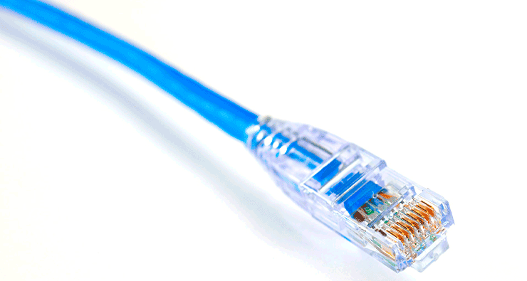 Um close de um patch cable cat5e azul